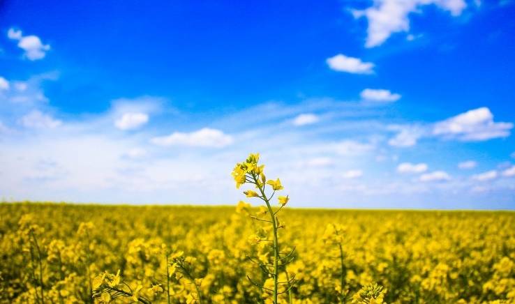 加上许多朋友信赖,赚钱非常给力,赚得盘满钵满,今后钱花不完,招财进财