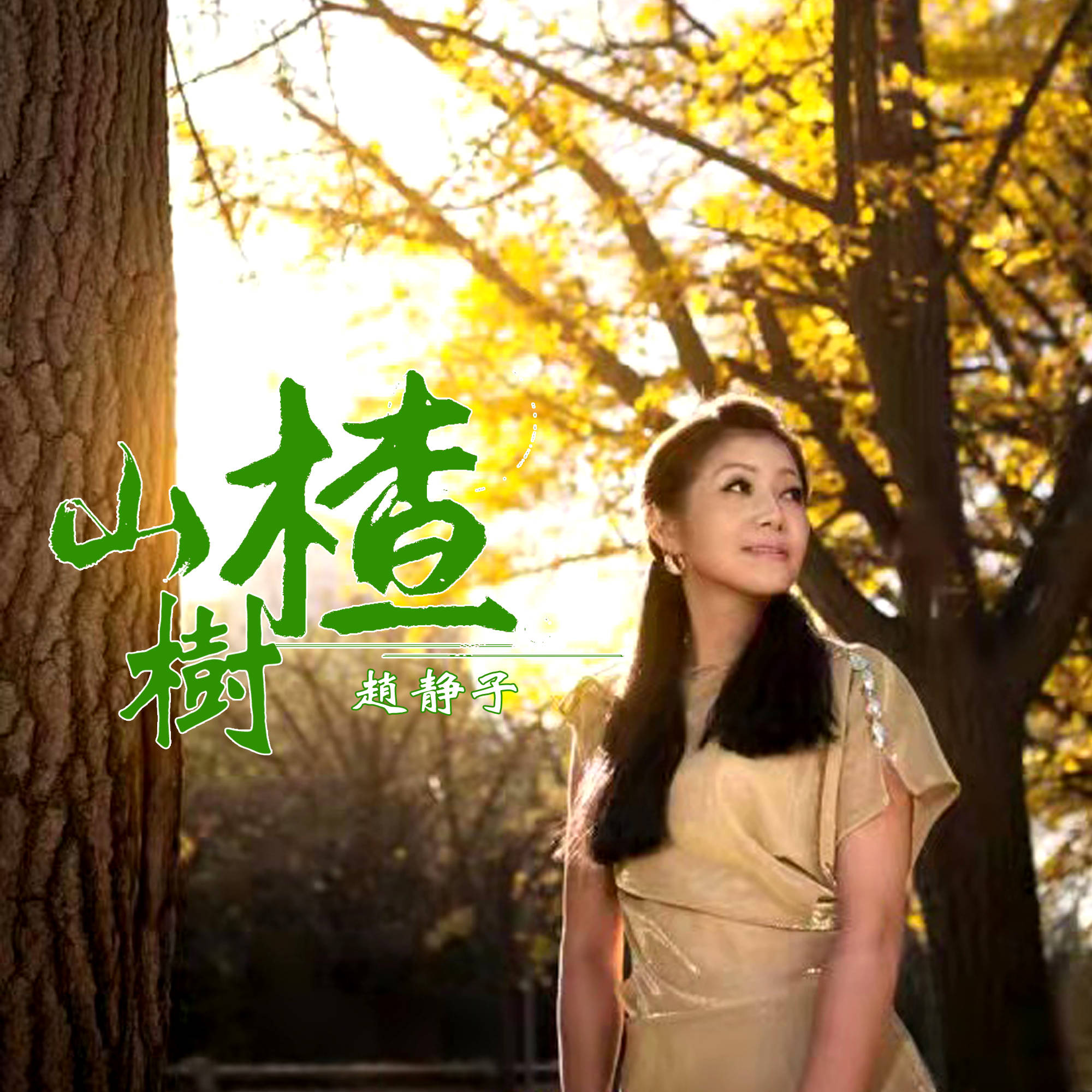 女歌手赵静子演唱《山楂树》声声唱入人心_歌曲_那一树_爱情