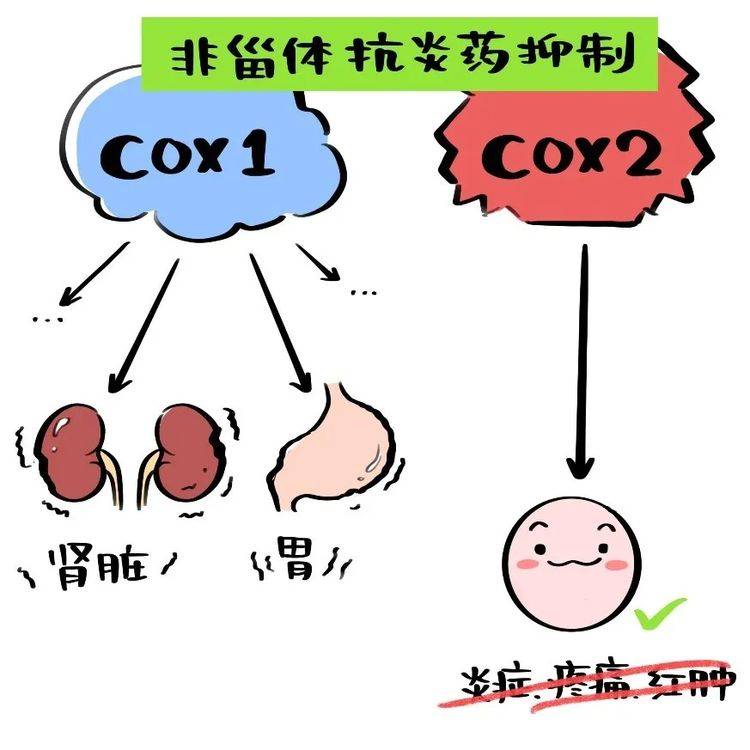 消炎止疼药不是消炎药医生提醒颈肩腰腿痛可不能吃错