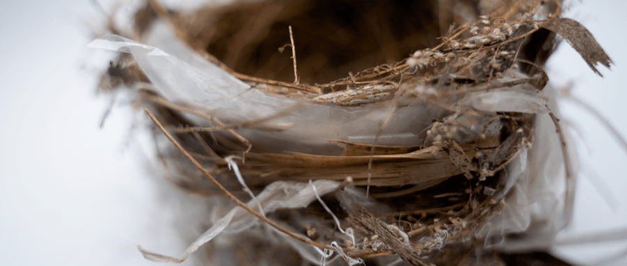 燕之屋被证监会质疑虚假宣传 只是更新招股书未