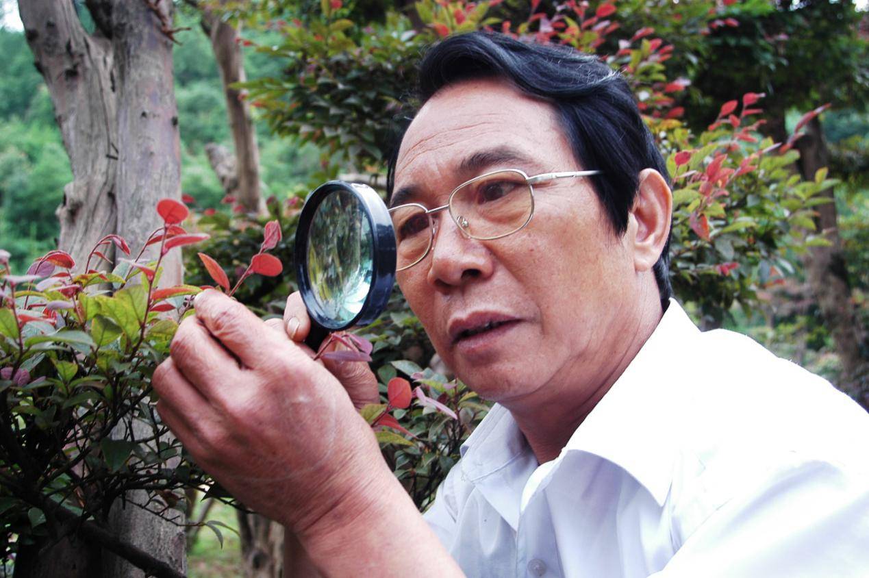 工作者日丨红霞不道桑榆晚 "绿色使者"正春风_科普_萍乡市_国家林业部