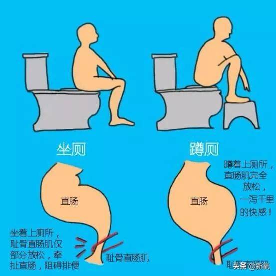 亲自上马桶演示,这年头女明星真是拼_大人_按摩_姿势