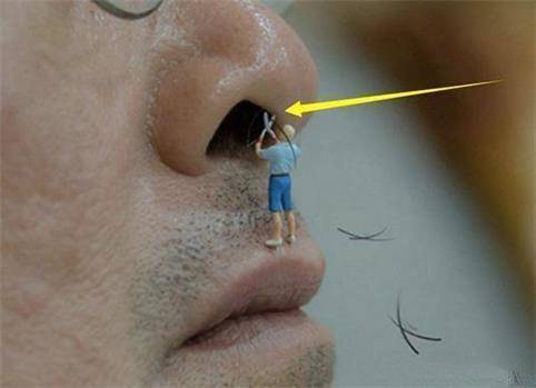 原创人到中年鼻毛总是往外钻这到底是怎么回事呢早看早知道