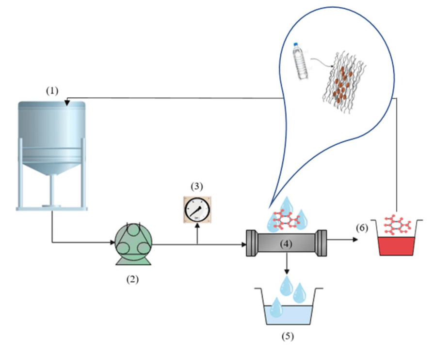 (1)进料罐,(2)蠕动泵,(3)压力表,(4)膜池,(5)渗透液,(6)滞留液图2.