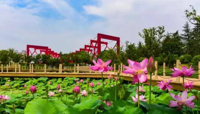 原创             2022“扬州的夏日”发布活动清单，带上孩子来扬州过暑假吧