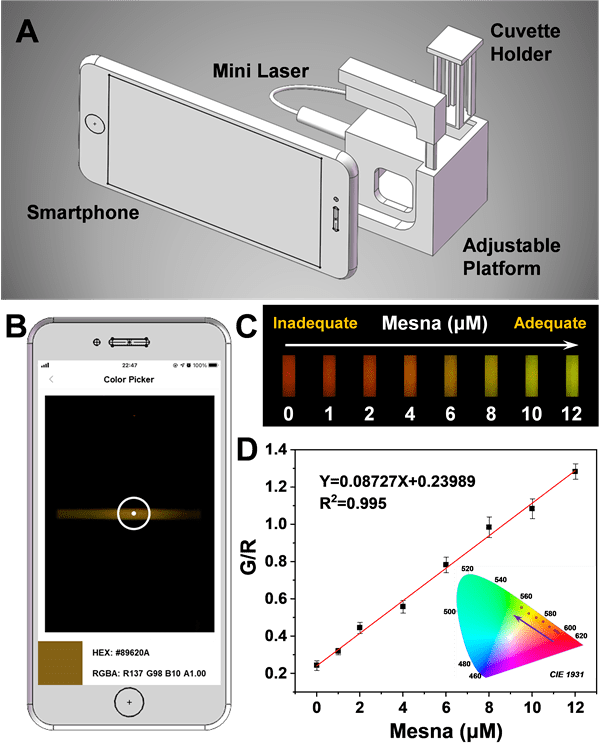 合肥研究院发展上转换发光探针实现对化疗药物的可视化监测_检测_纳米
