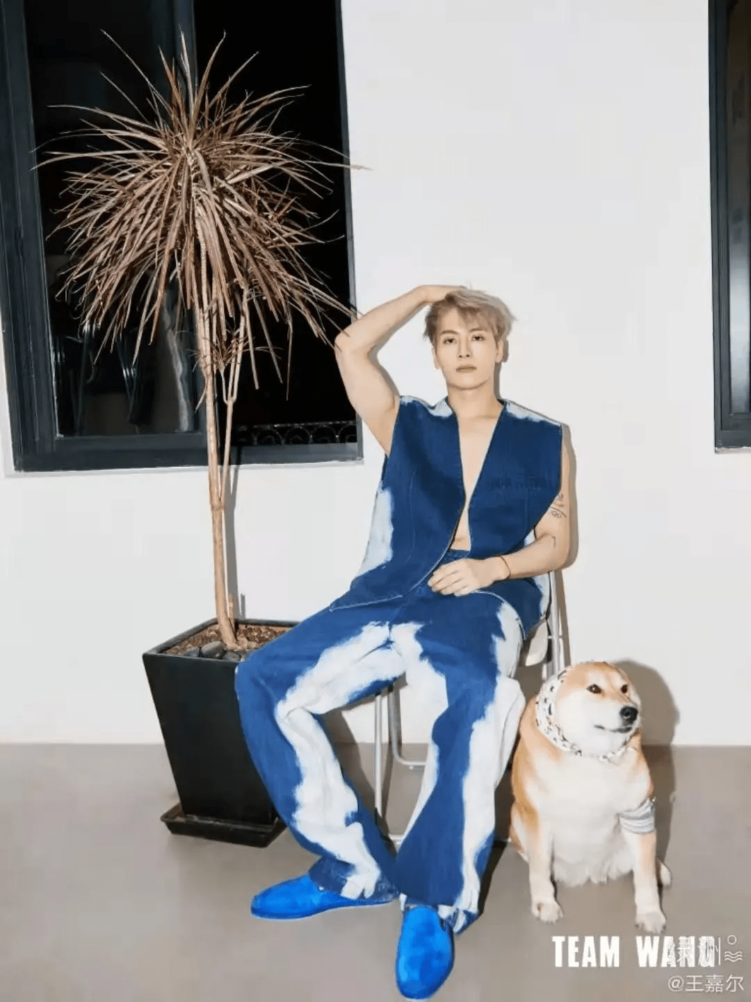 原创吴磊赵露思杨幂王嘉尔新晋小花偷偷恋爱老赖男星贪得无厌