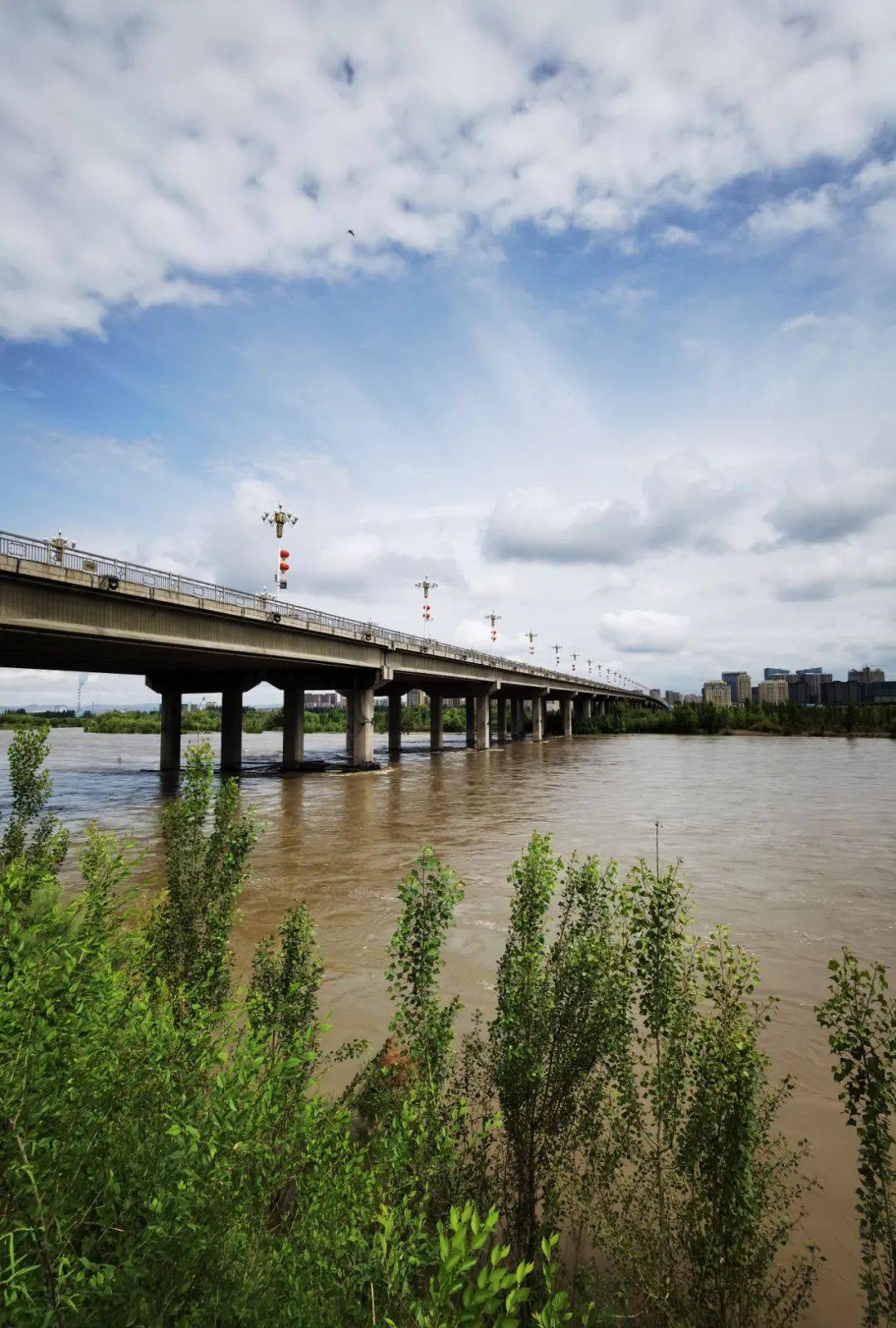 美丽新疆 —— 伊犁河南岸_二桥_馈赠_休闲
