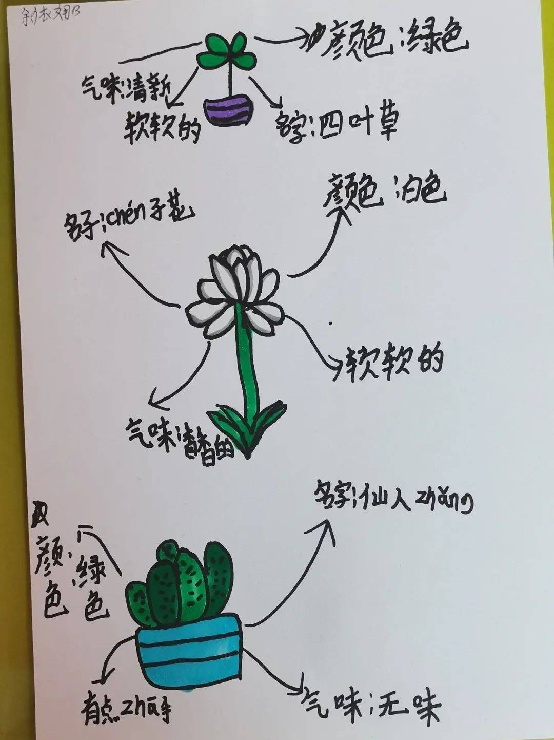 我爱我从探索生命开始成都市双流区九江小学开展一系列活动