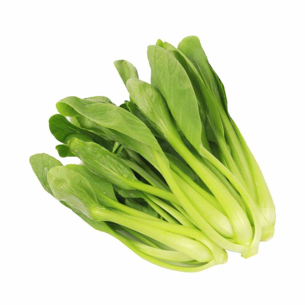 小白菜大误会,上海青是不是小白菜_青菜_油菜_叶柄