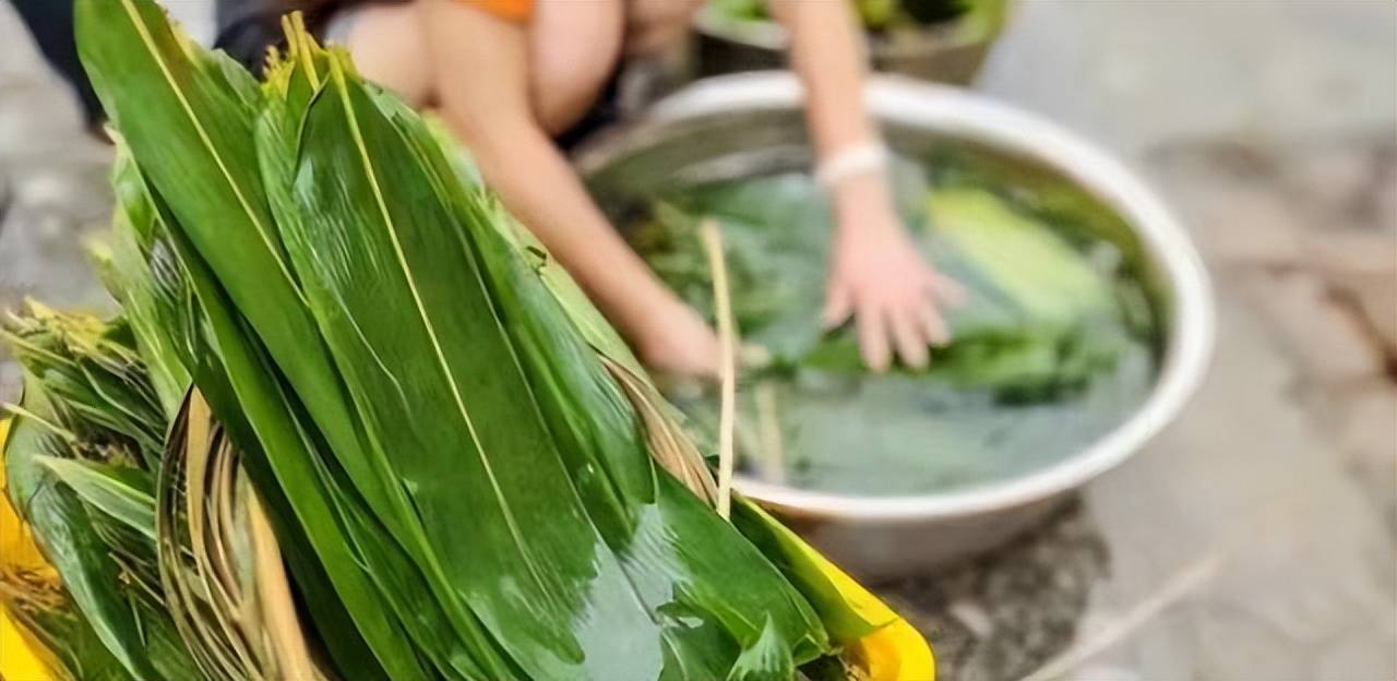 自己包一次粽子用什么叶子