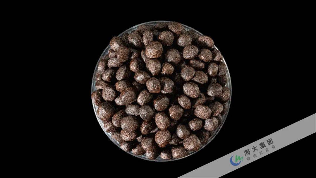 海大黑鱼养殖基地积极与海大饲料团队联动,共同推动黑鱼养殖效率提升