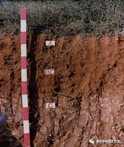 红壤和黄壤长江以南的大部分地区以及四川盆地周围的山地.