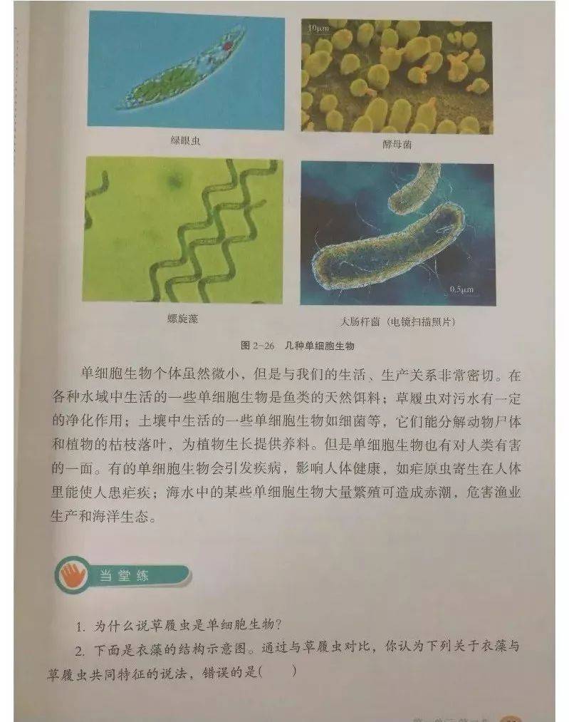 冀少版七年级上册生物电子课本教材(高清pdf版)