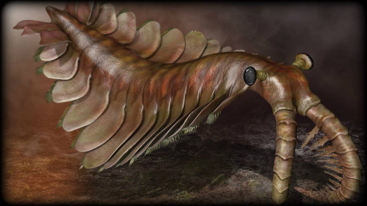 远古生物 恐怖图片