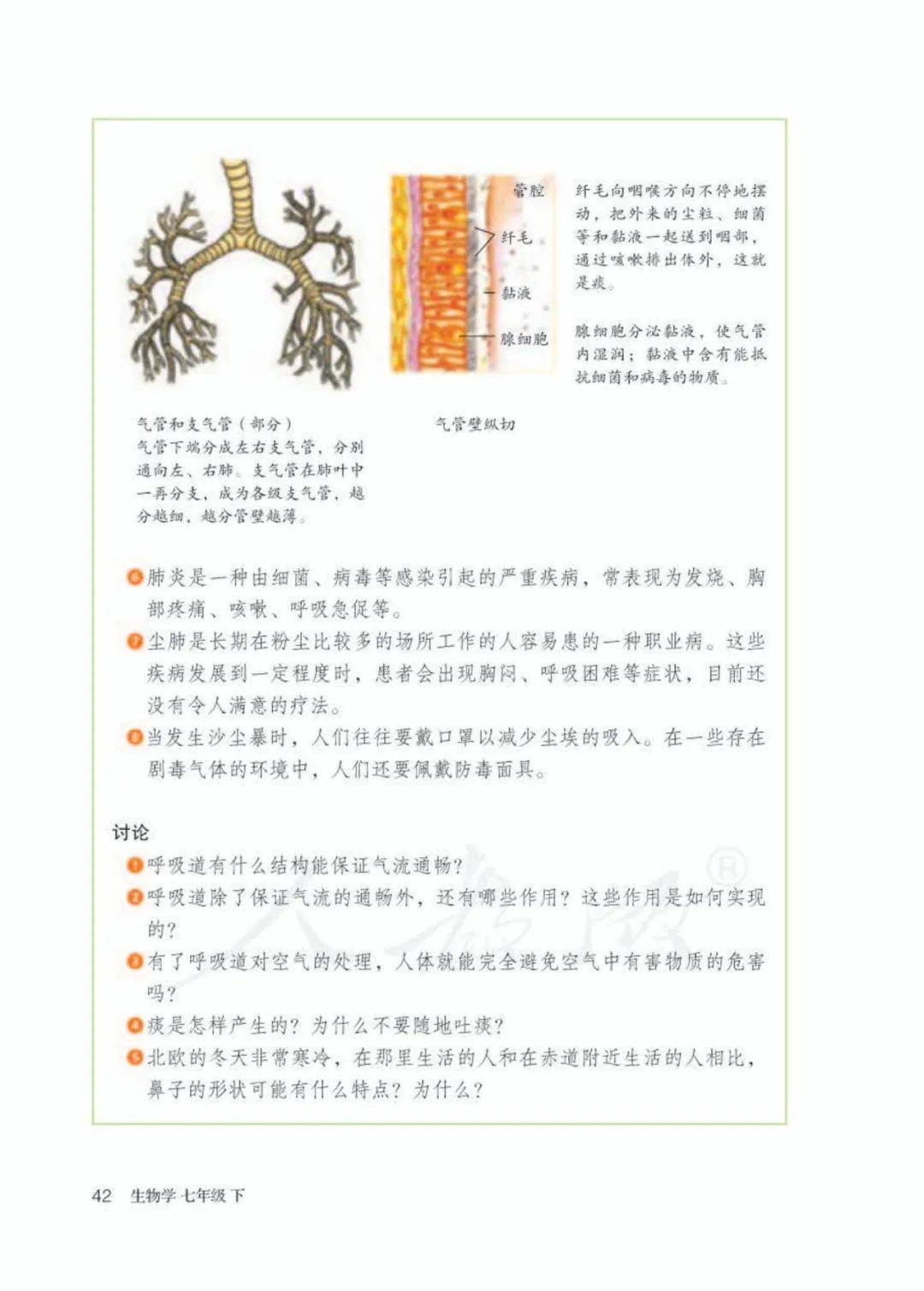 人教版七年级下册生物电子课本教材高清pdf版
