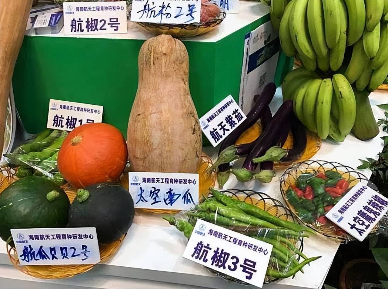 太空育种技术作为集航天技术,生物技术以及农业育种技术于一体的农业