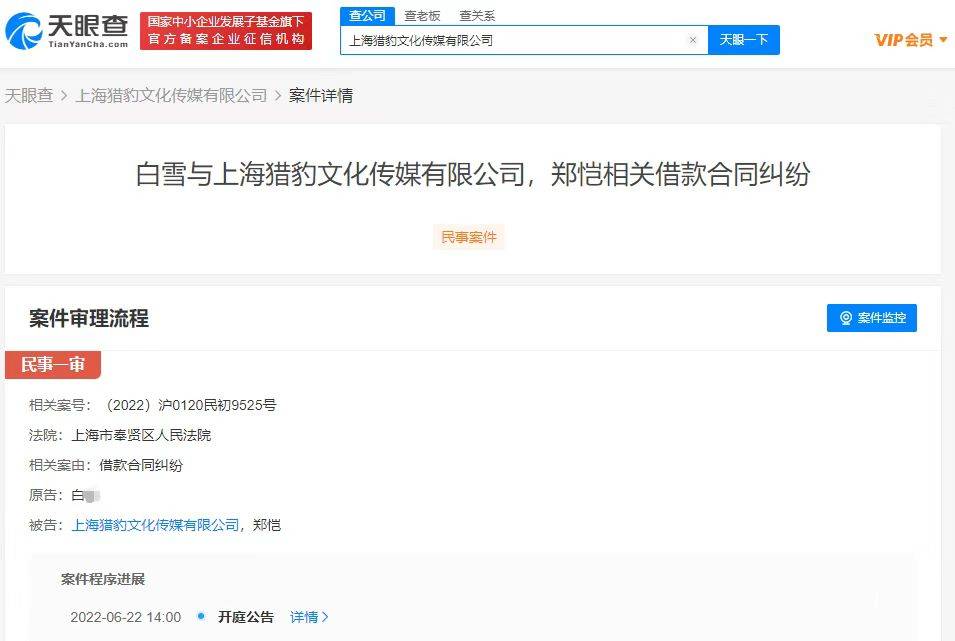 上海猎豹文化传媒新增一则开庭公告 案由为借款合同纠纷