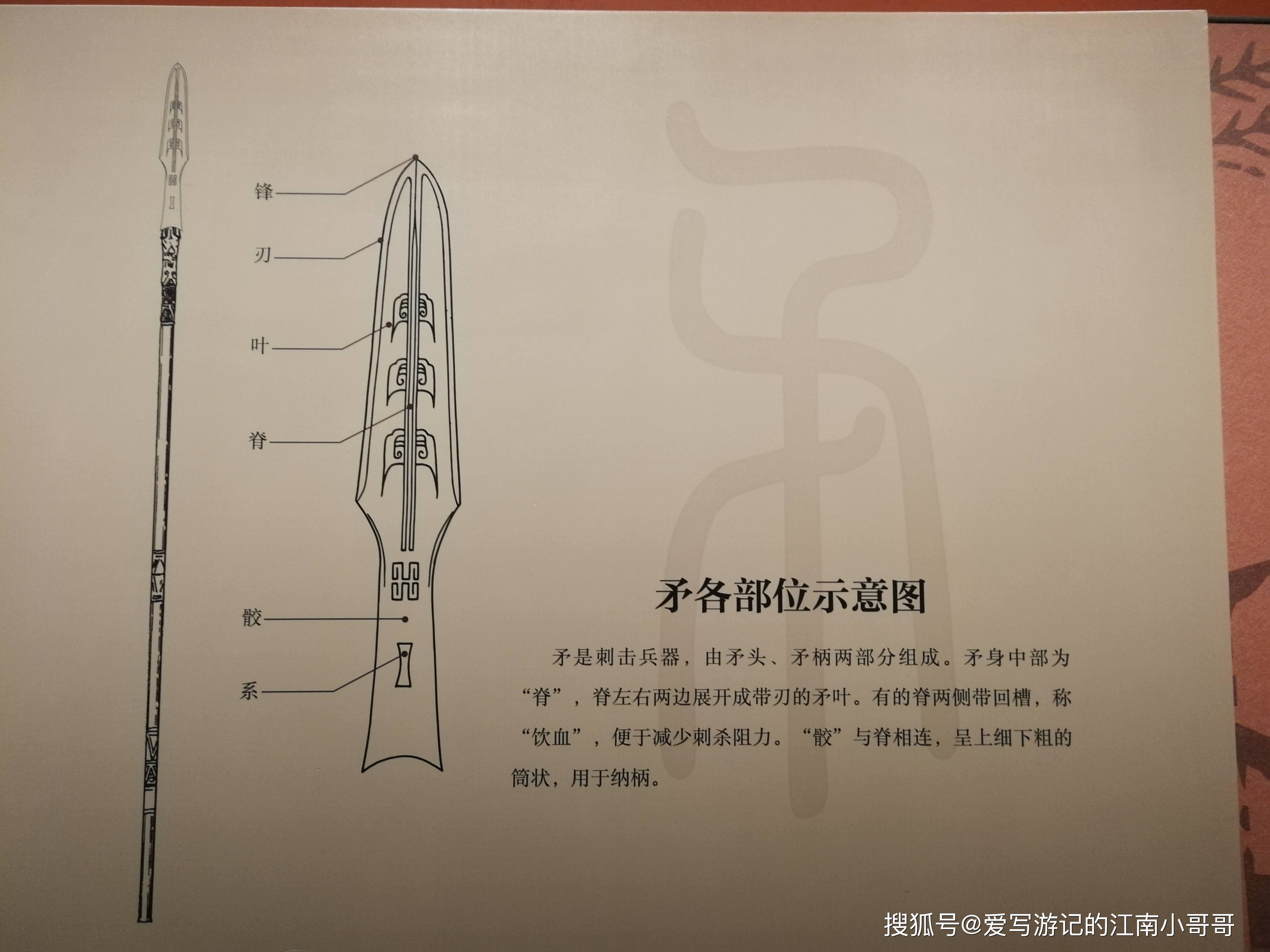 矛的演变过程图片图片