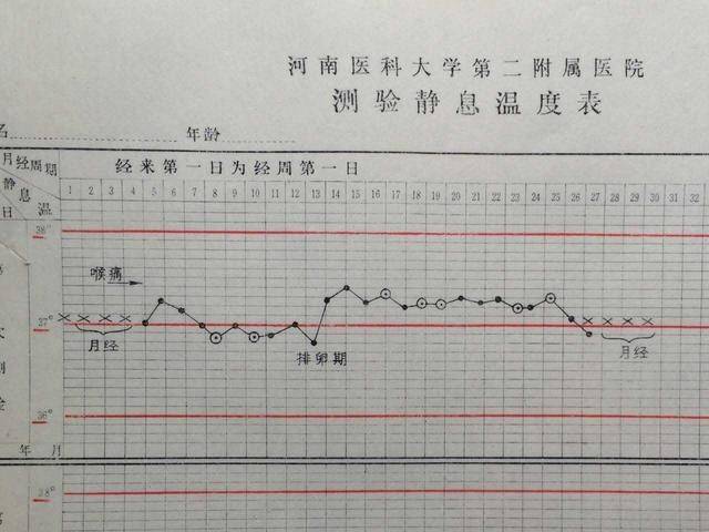 基础体温如何备孕