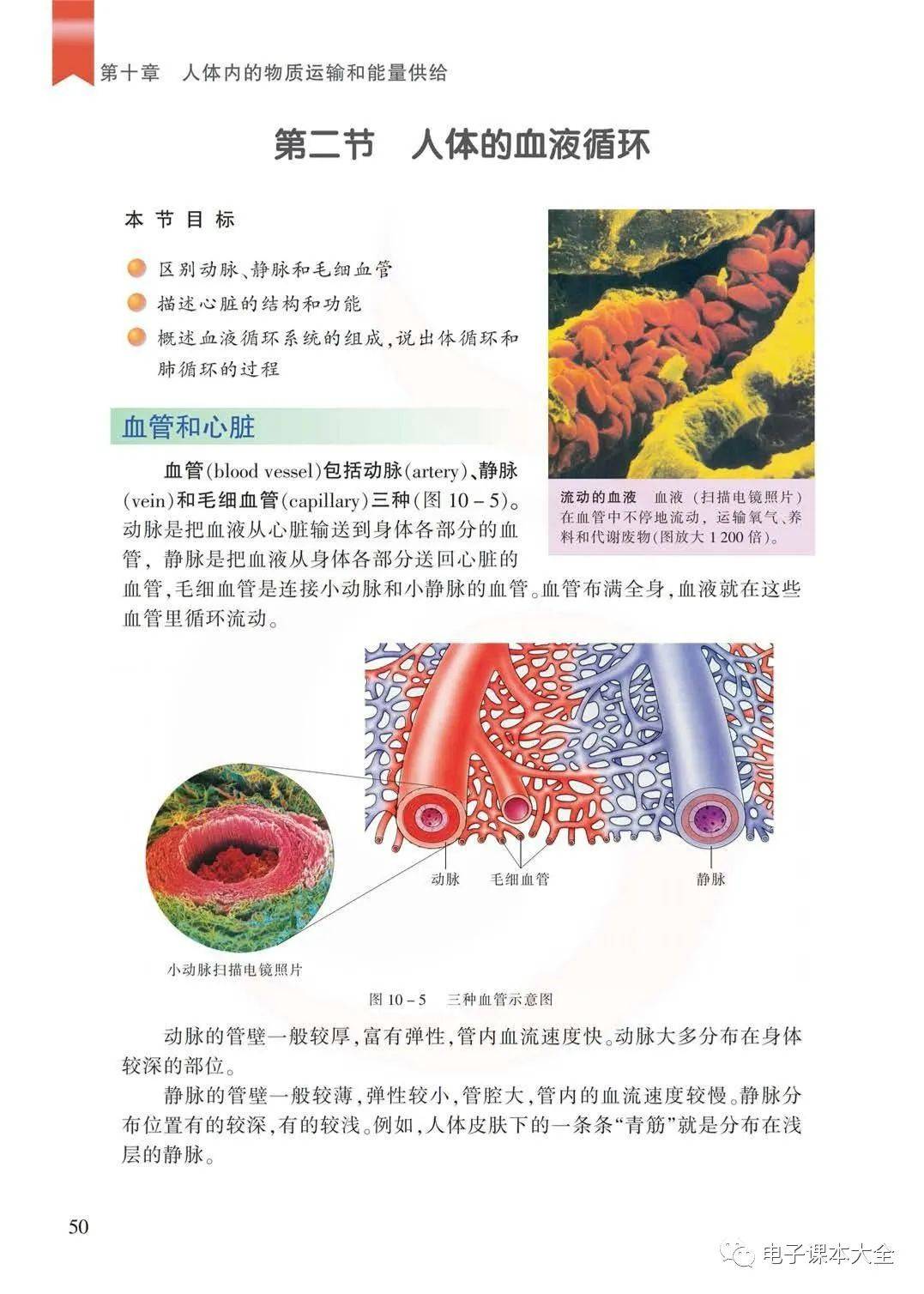 苏教版七年级下册生物电子课本教材