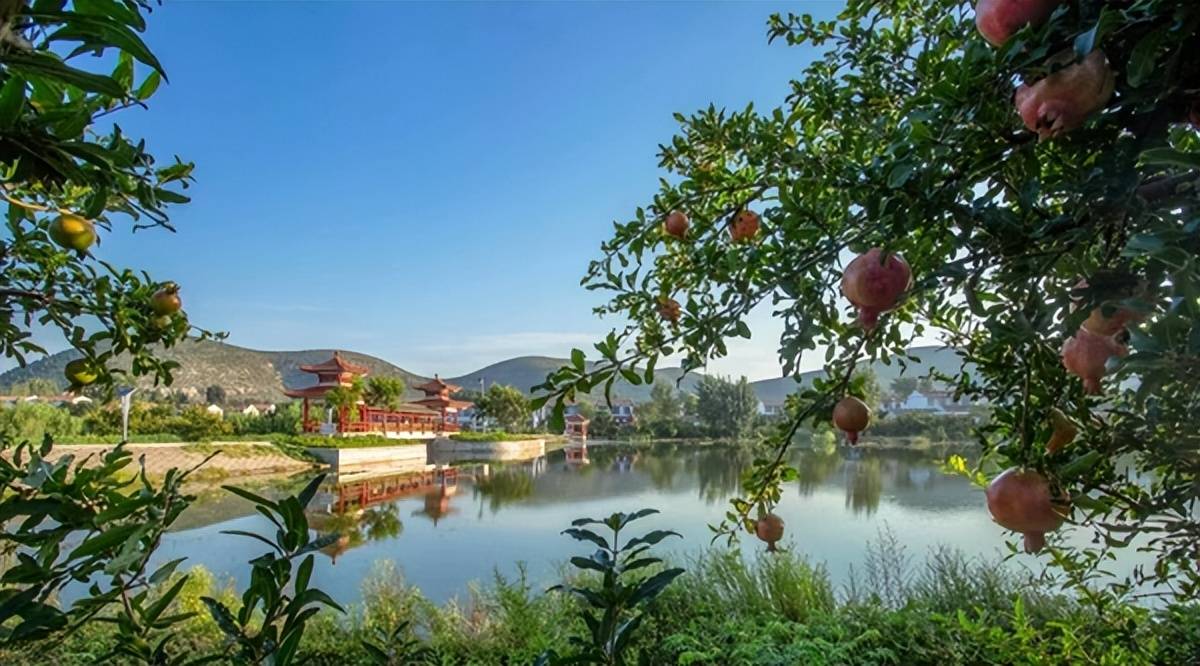 安徽淮北烈山镇五个聚焦赋能乡村振兴加速跑