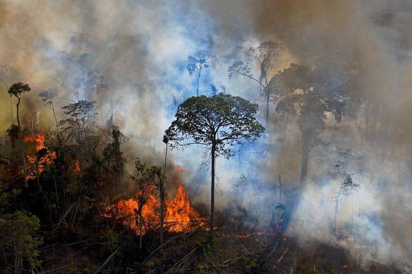 为拯救亚马逊雨林，购买了一大片亚马逊的土地来铸造为NFT！不到一个小时就被抢购一空！