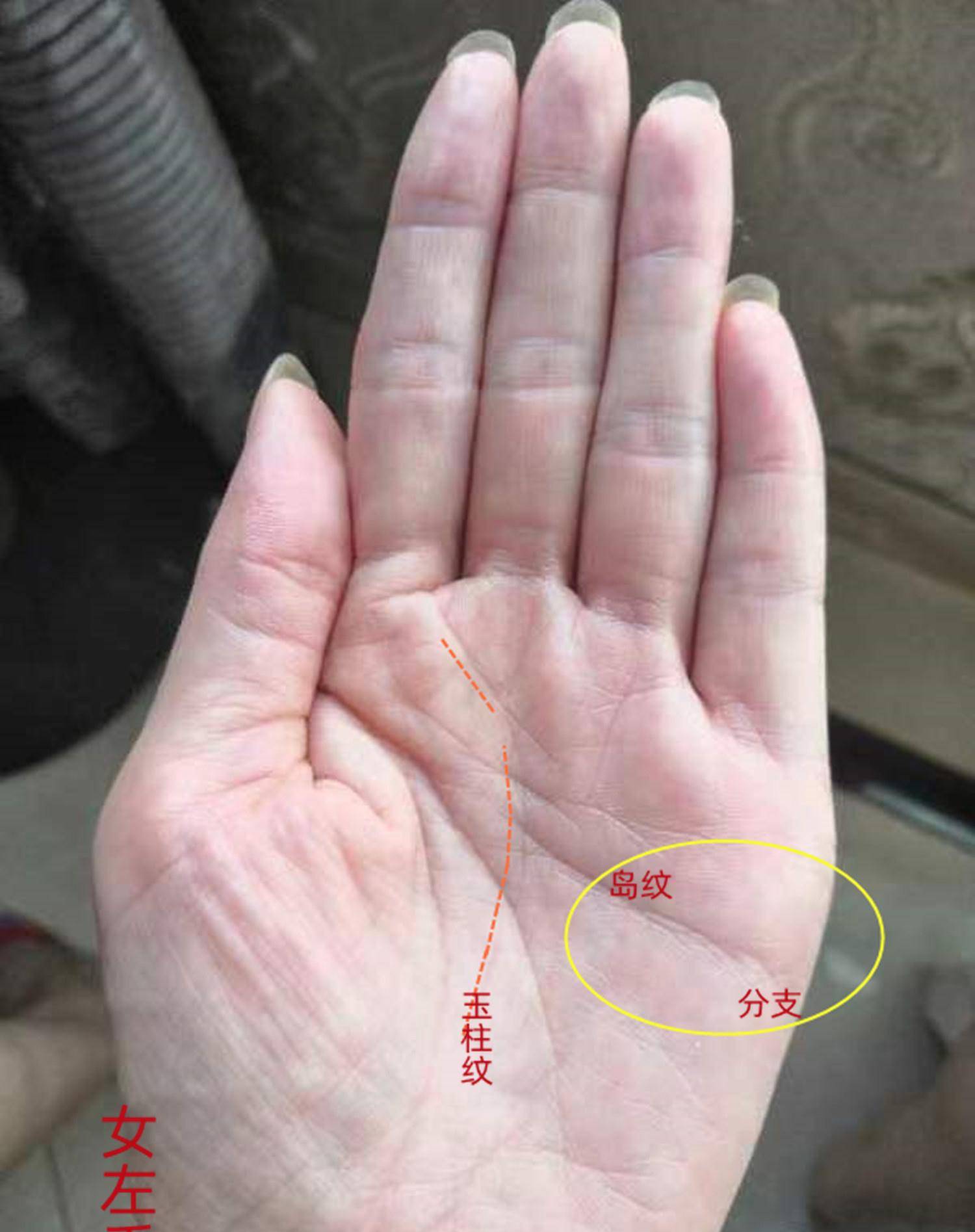 李昱恒手相:旧情难舍,事财有利的手纹特征_福主_婚姻_中指