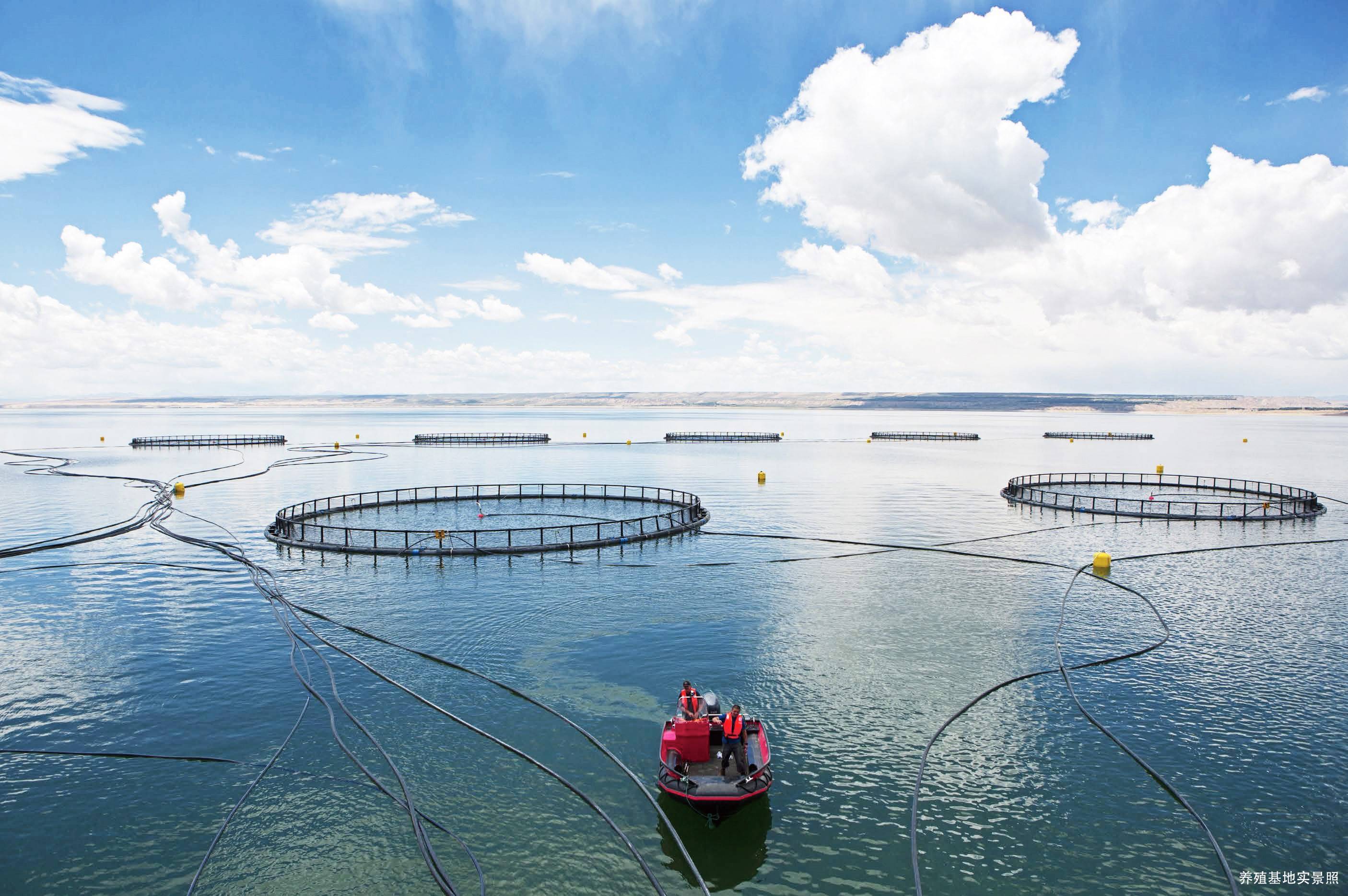 龙羊峡&大华股份签署战略合作协议 开启数智渔业新征程_养殖_水产_数