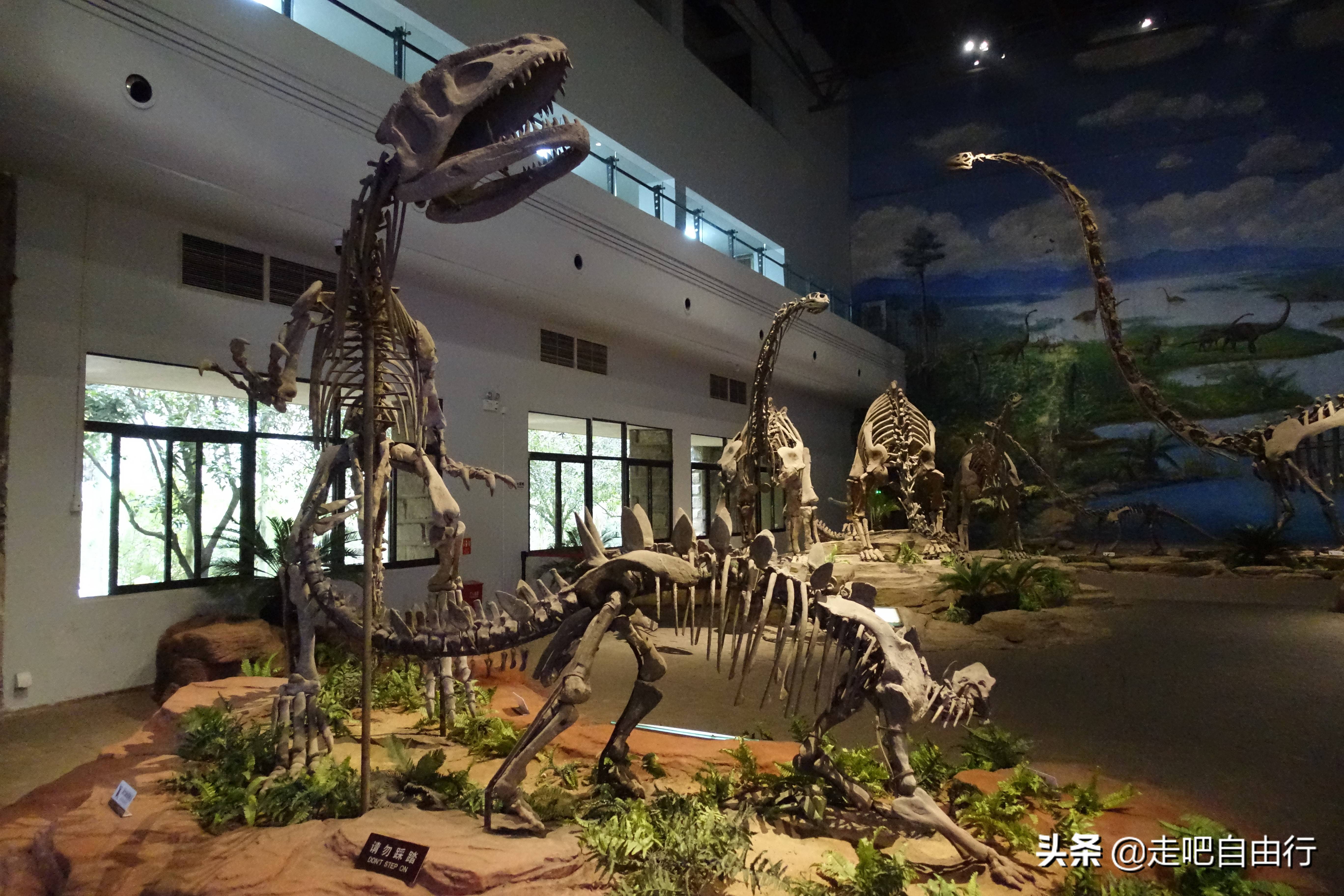 原创走进恐龙遗址群窟号称川南四绝之一的自贡恐龙化石博物馆