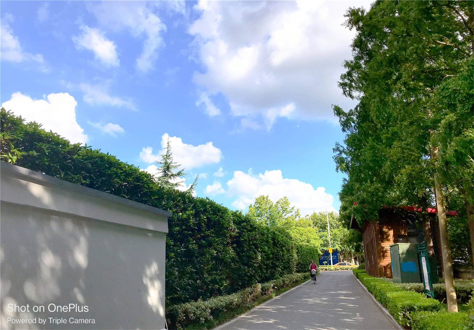 两千元真香机：一加Ace竞速版表现均衡！