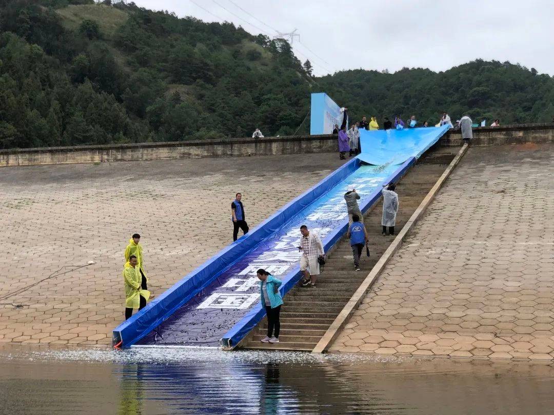60万尾鲢鳙鱼和高背鲫鱼放流牛栏江_嵩明县_保护_活动