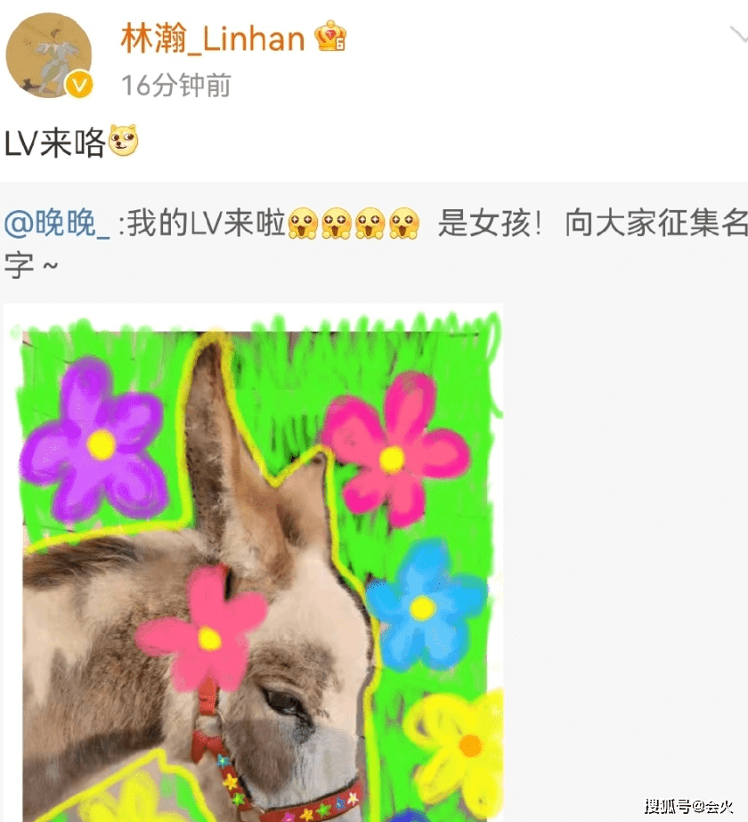 “京圈贵妇”多次炫富翻车,原来嫁了个假豪门?