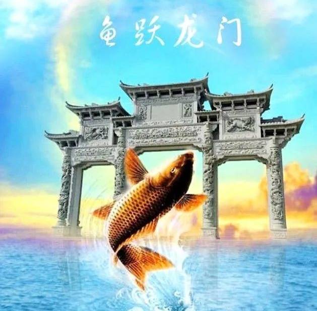 高考季——人生规划需要系统论_大学_杜甫_鲤鱼跳龙门