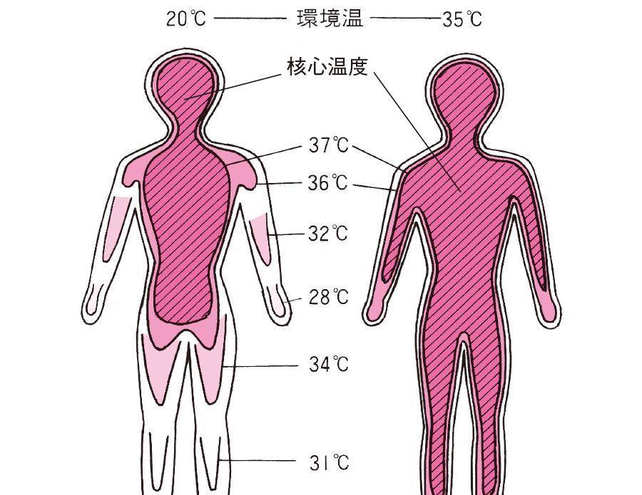 3℃左右