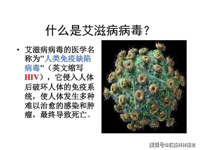 患者_病毒_人类