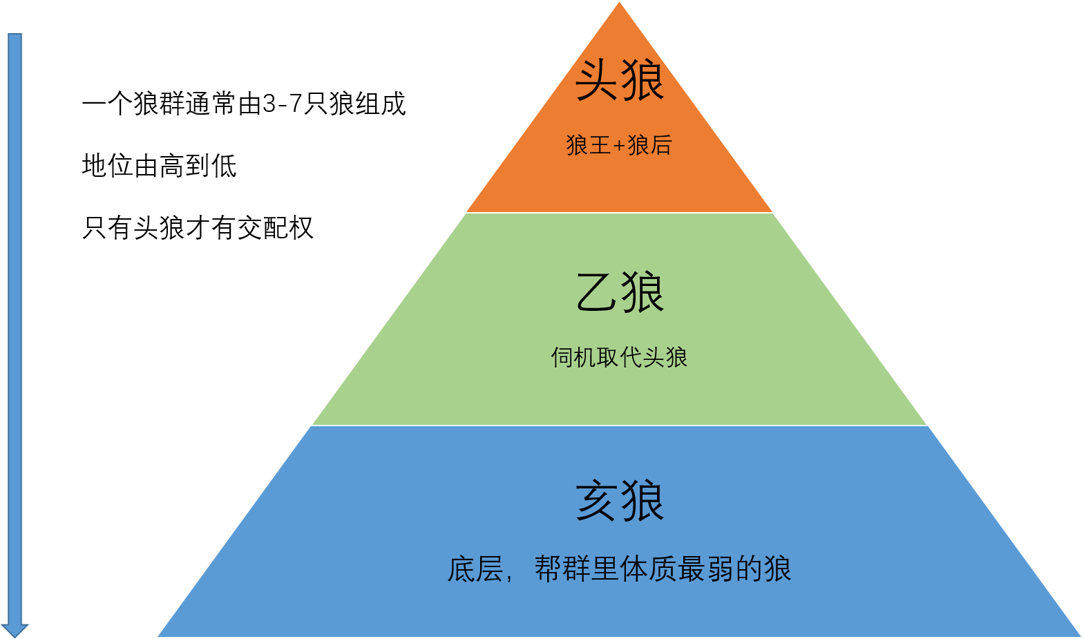 狼群的等级制度狼群当中一般有3到7头狼,有时候也会更多一些