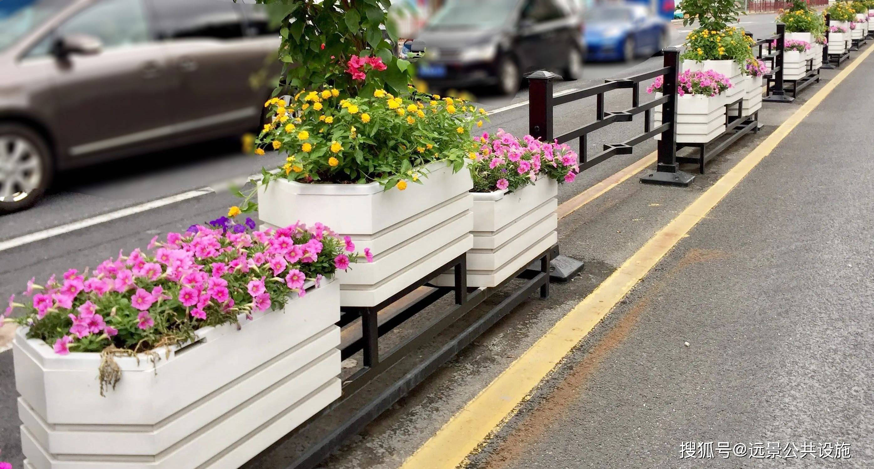 市政道路花箱在城市中发挥的作用_绿化_机动车_空间