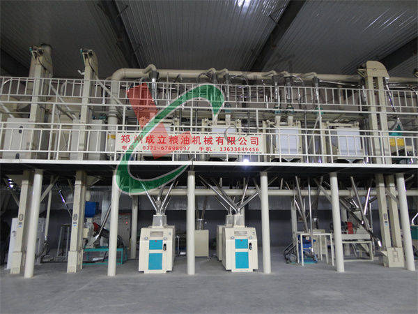 小型玉米加工设备生产线均价多少?_食品_价格_速冻