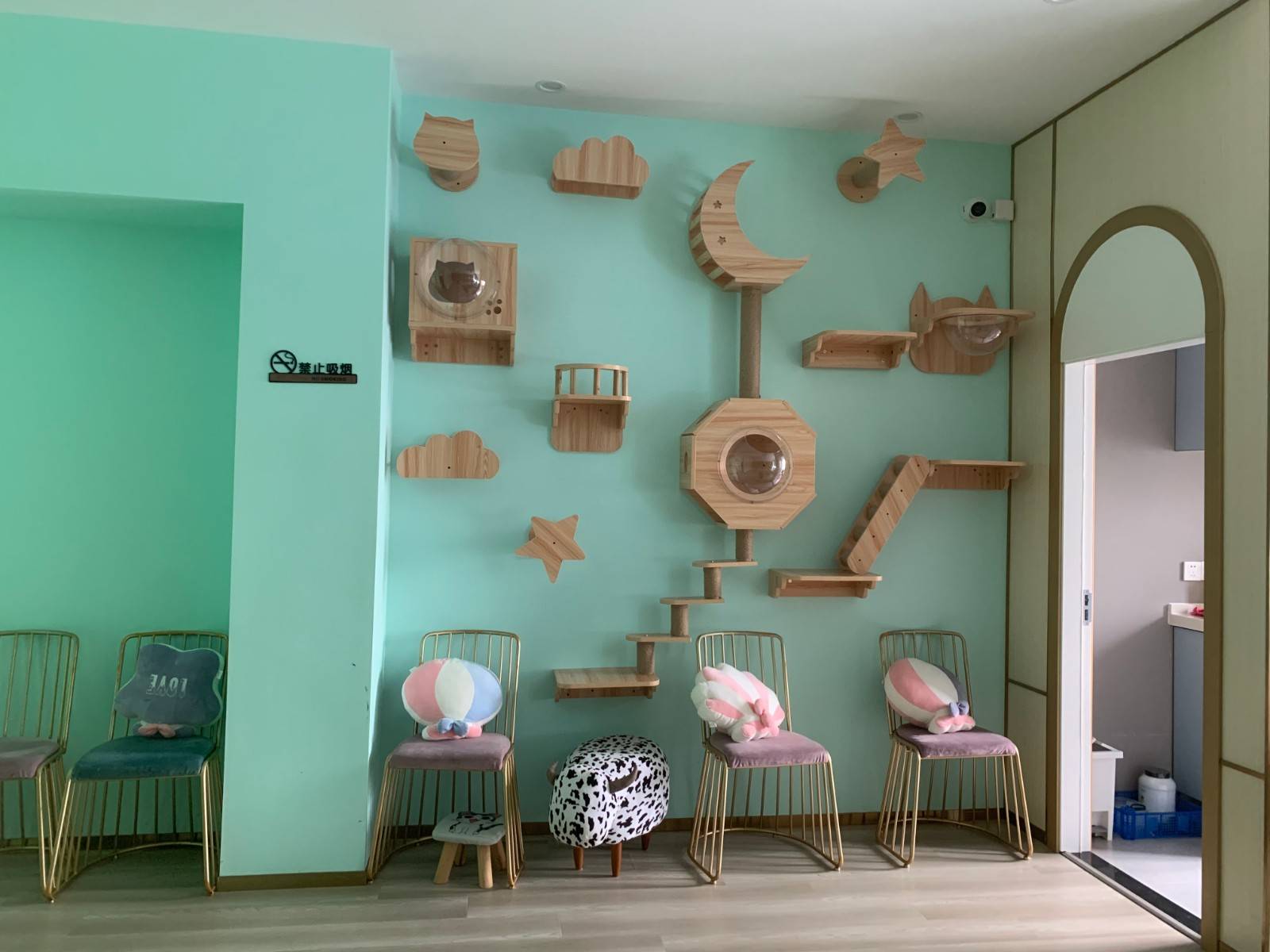 上海浦东新区中高端宠物店超值转让