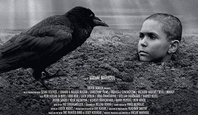 电影推荐被涂污的鸟叙述与被叙述从来不是对立的关系