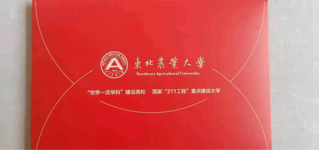 届毕业生录取到中南大学音乐表演专业刘*达同学一线2016届毕业生录