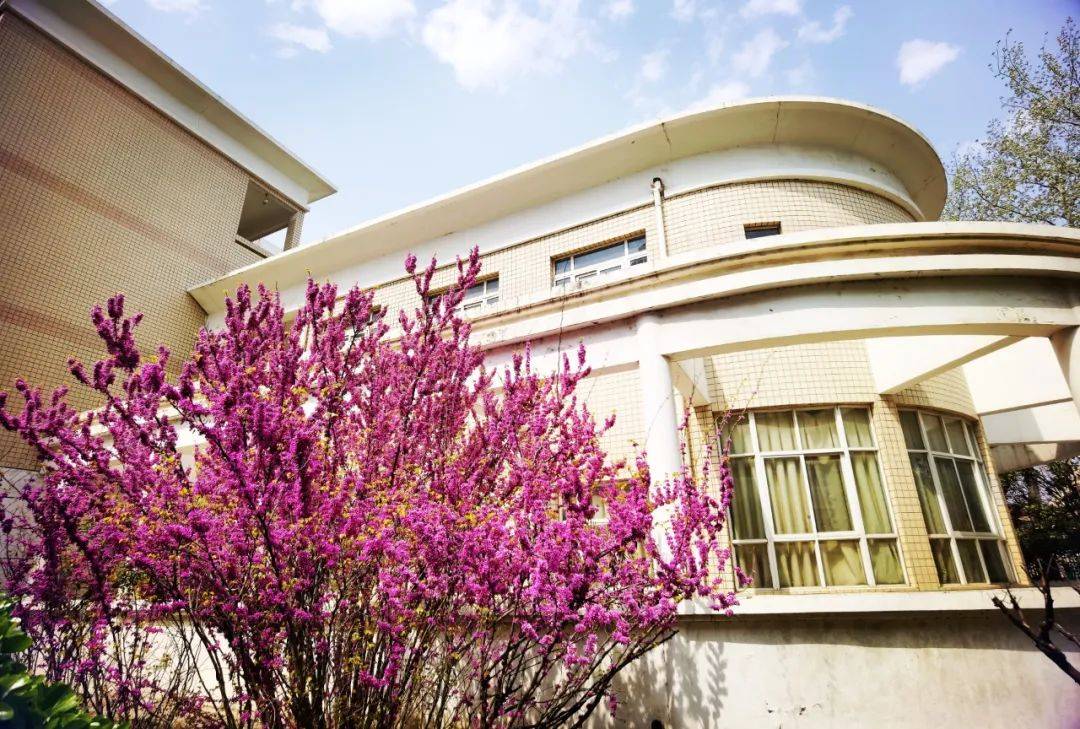 郑州市郑中国际学校初中部2022年招生简章