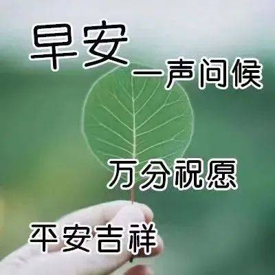 原創8張有創意的朋友早上好免打字圖片溫馨的早上好問候語圖片帶字