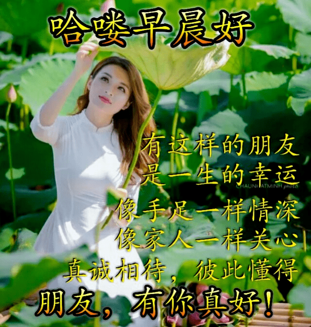 原创6月12日最新创意好看的早安早上好图片带祝福语2022早安问候祝福