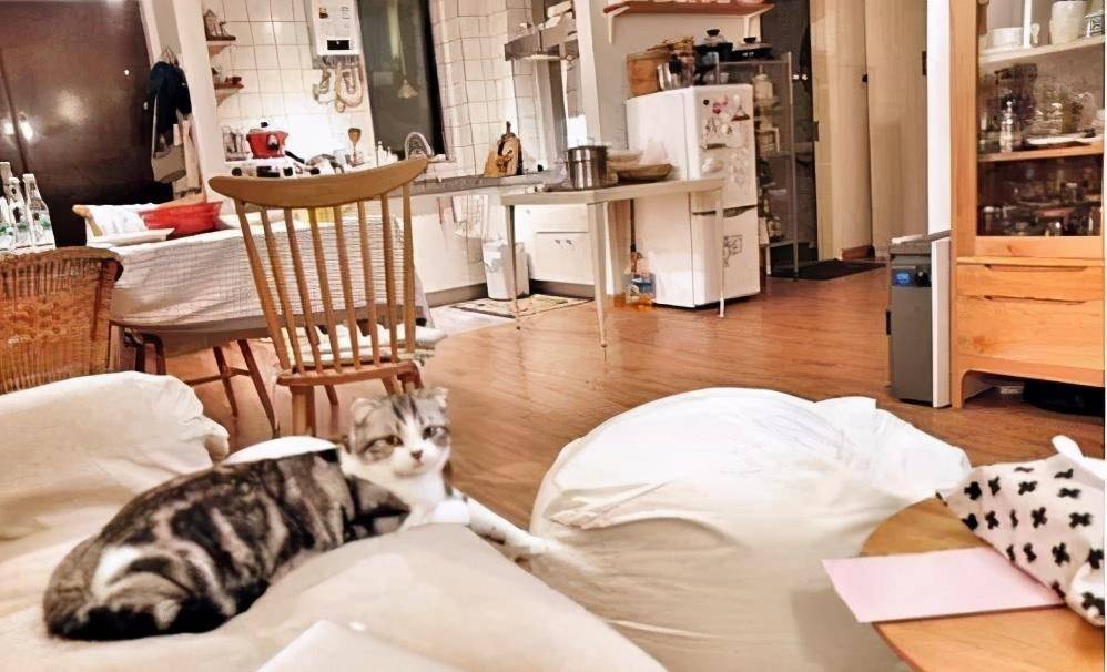 ella花3亿买百平豪宅,内部曝光后引网友调侃:我家也可以_生活_客厅