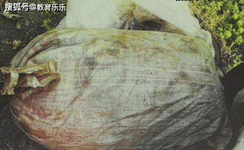 哈尔滨学生公寓分尸图片