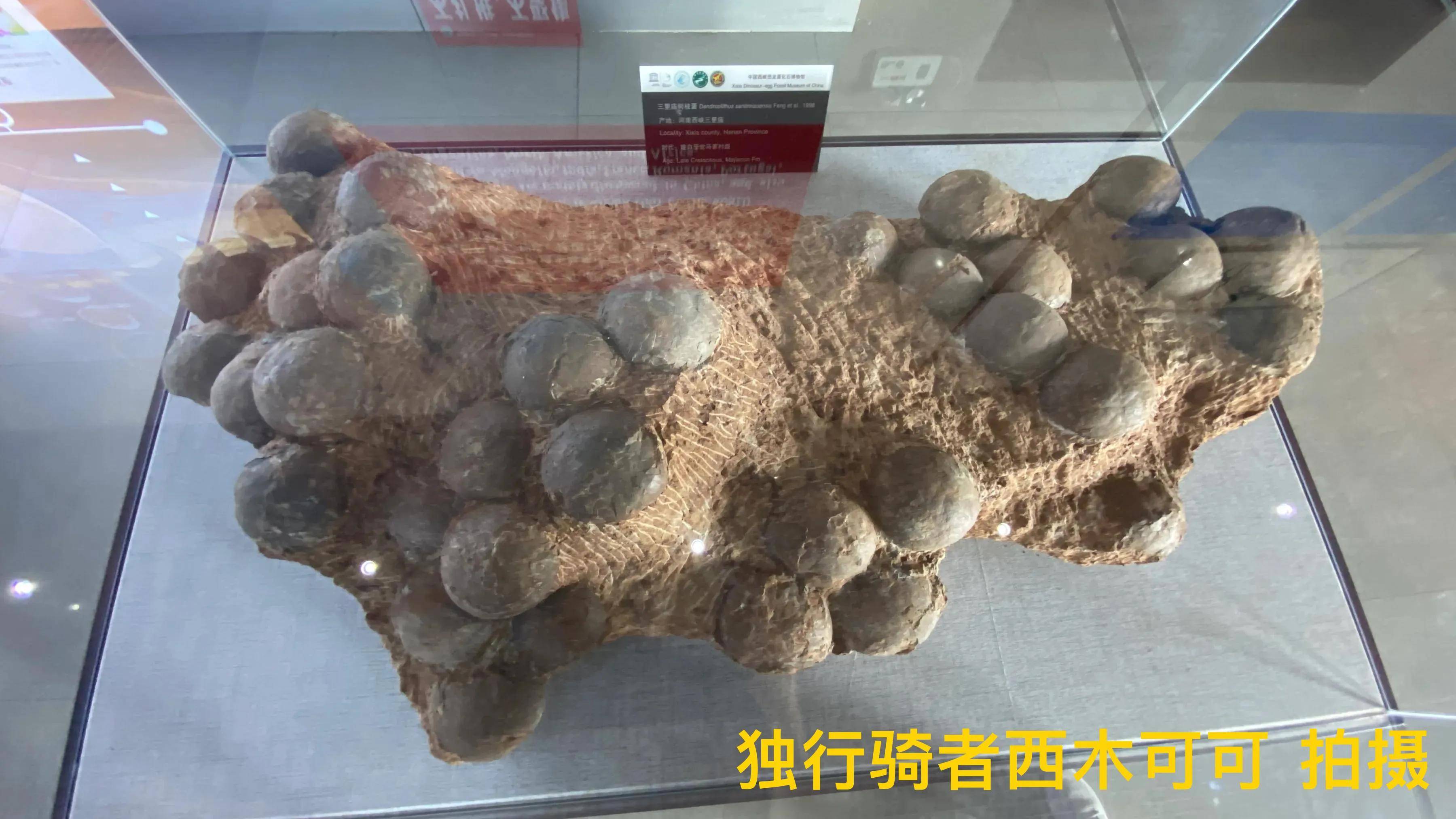 原创恐龙王国中国西峡恐龙蛋化石博物馆