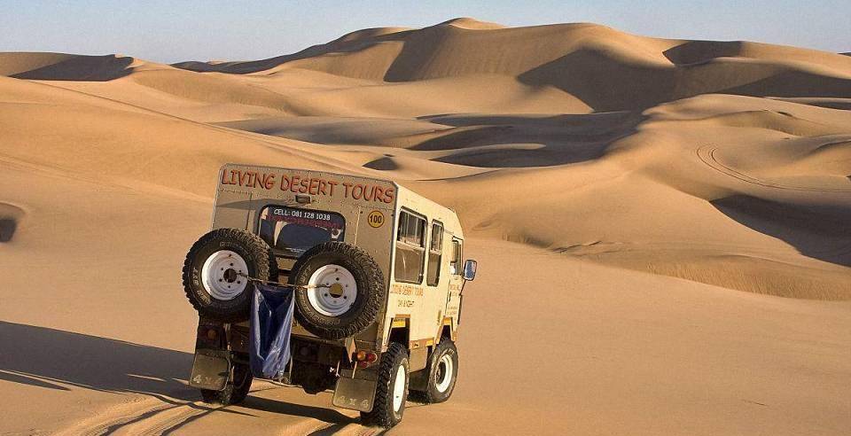 为什么在沙漠中迷路时，最好不要走直线？答案你可能想不到