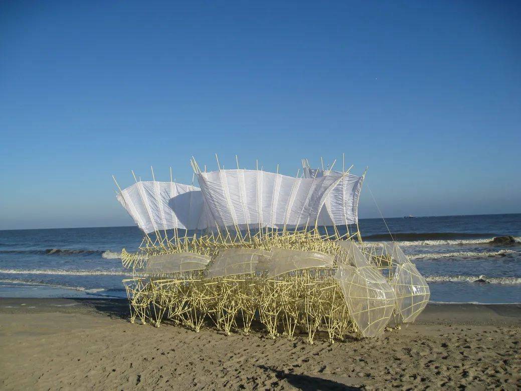 沙滩怪兽theojansen风动艺术